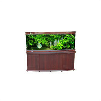 Fish Aquarium