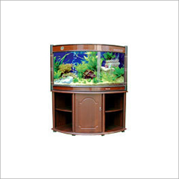 Decorative Fish Aquarium
