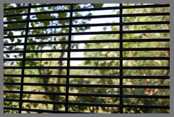 Welded Wire Mesh