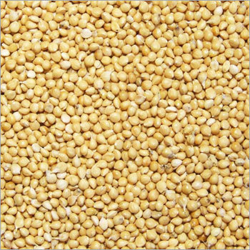 Bajra