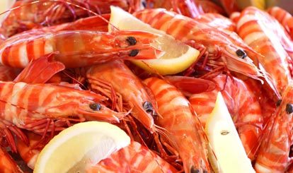prawn