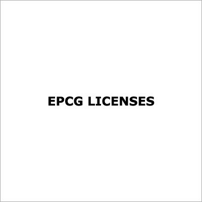 EPCG Licenses Consultant