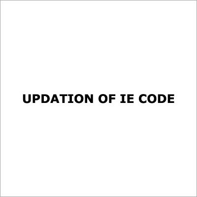 Import Export Code Updation Services By APEX IMPEX