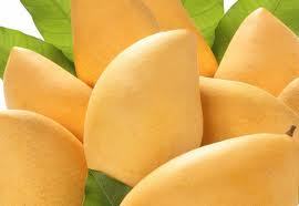 fresh mango
