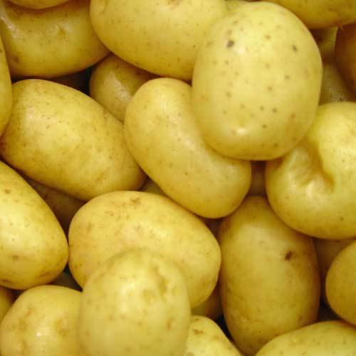 fresh-potatoes