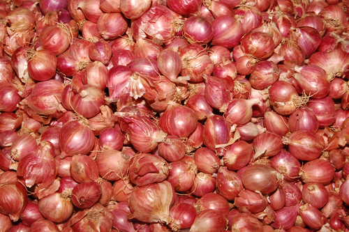 small-onion