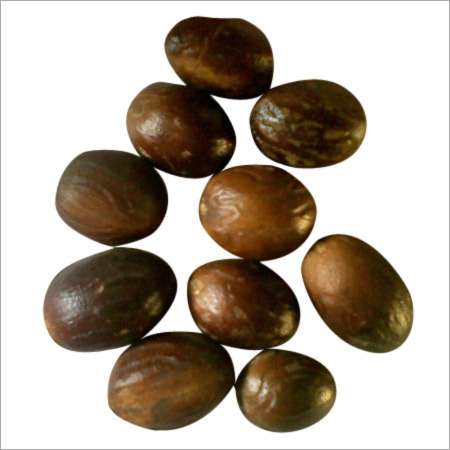 Nutmeg With Shell