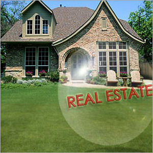 Real Estate Consultant