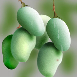 Fresh Green Mango