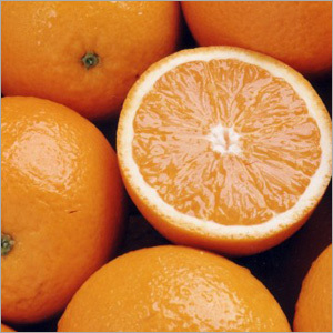 Fresh Kinnow
