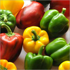 Fresh Capsicum