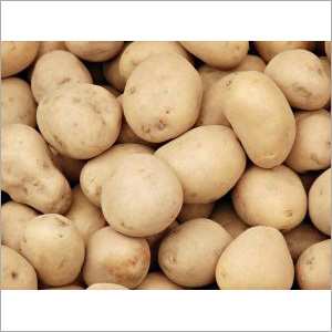 Fresh Preserved Potato