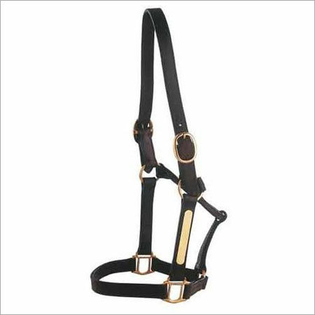 Horse Halters
