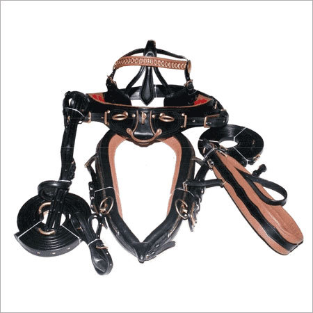 Leather Harness Set