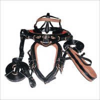 Leather Harness Set