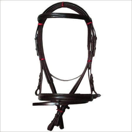 Leather Bridle
