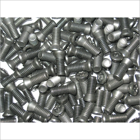 Torx Screws