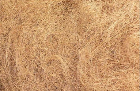 Coco Peat