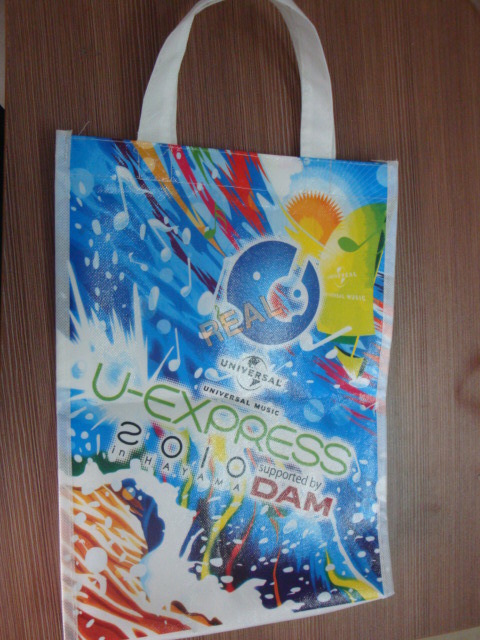 Non woven Bag