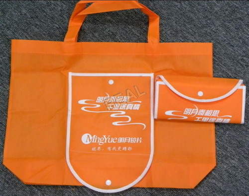 Non woven bag