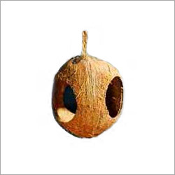 Shell Bird Feeder