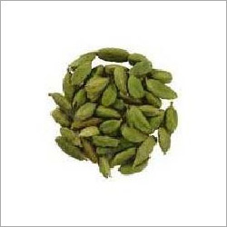 Cardamom