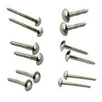 Mirror Screw