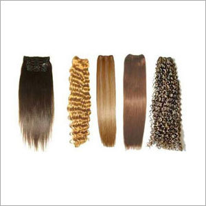 Human Hairs
