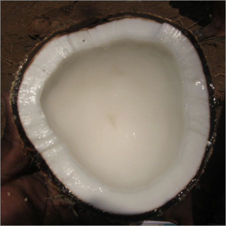 Coconut Shell Chips