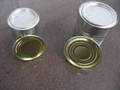 Ghee Cans