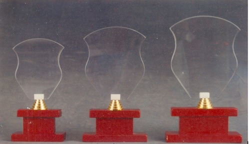 Acrylic Wooden Trophy