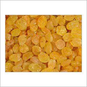 Yellow Raisins