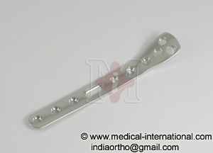 DISTAL MEDIAL TIBIAL PLATE