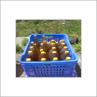 Apricots Kernal Oil