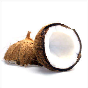 Kokosnuss Coconut