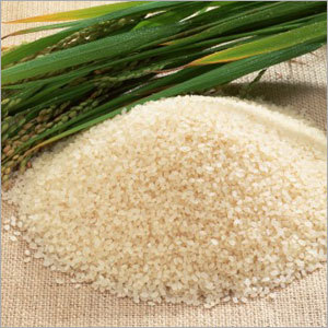 Rice Grains