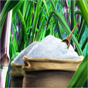 White Sugar