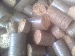 Agro Waste Briquettes