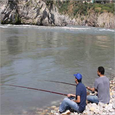 Out Door Fishing Services