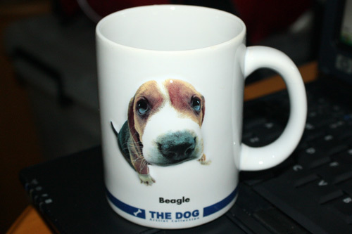 Bone China Coffee Mug