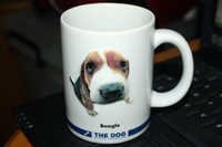 Bone China Coffee Mug - 11oz, Ivory White | Durable, Customizable, Ergonomic Handle, Attractive Design, Lightweight, Perfect Grip, Ideal For Gifting And Promotions