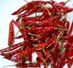 Chillies 334