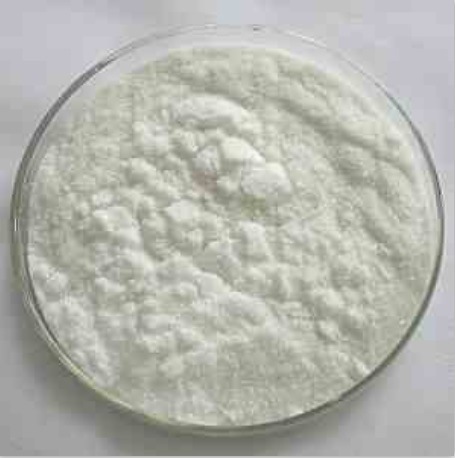 isothiazolone DCOIT