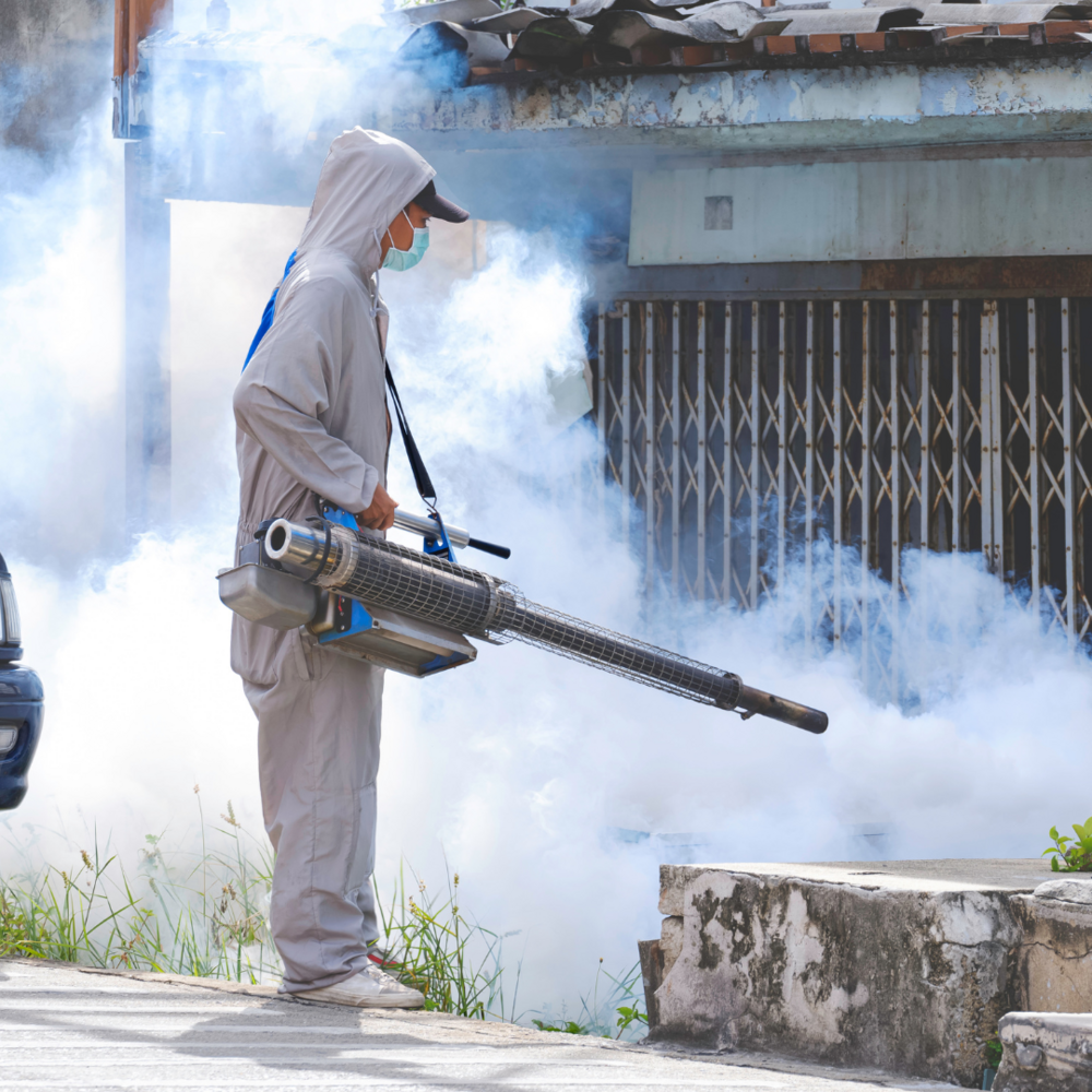 Mosquito Control Services