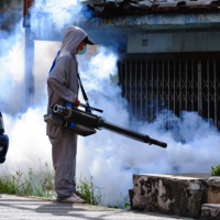 Mosquito Control Services - Non-toxic Fogging, Thermal & Ulv Method | Indoor/outdoor Treatment For Effective Mosquito Elimination