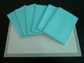Disposable Surgical Pad