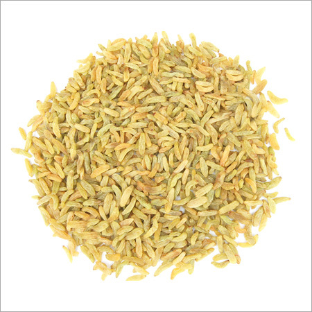 Long Raisin - Open Air Cultivated, 18 Months Shelf Life | Excellent Energy, Moisture Content, Rich Taste, Naturally Grown