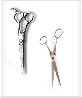 Barber Scissors