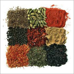 Indian Spices
