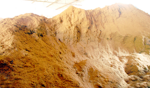 Coir Pith Blocks
